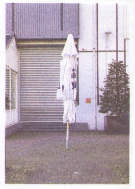 zindzi zwietering